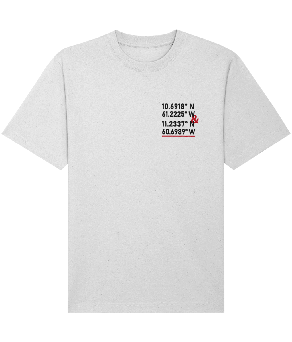 Relaxed Heavy T-shirt: T&T GPS [front and back]